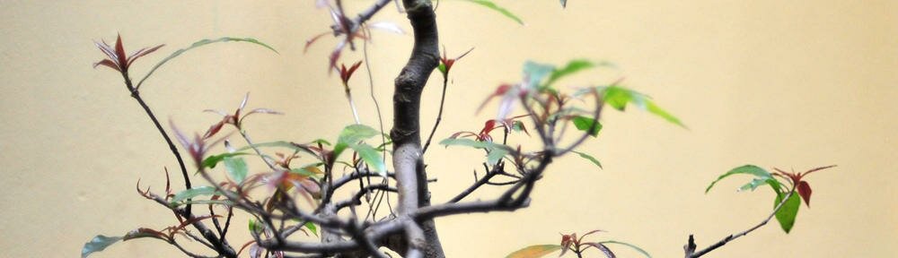 brandingirononline.info