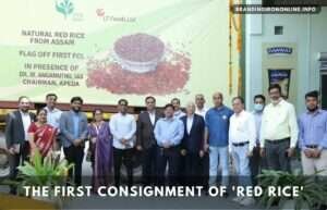 First consignment of ‘red rice’ shipped off for Export From India to US