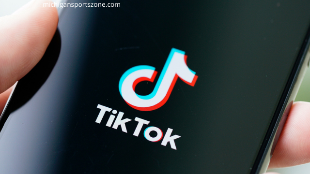 np meaning tiktok
